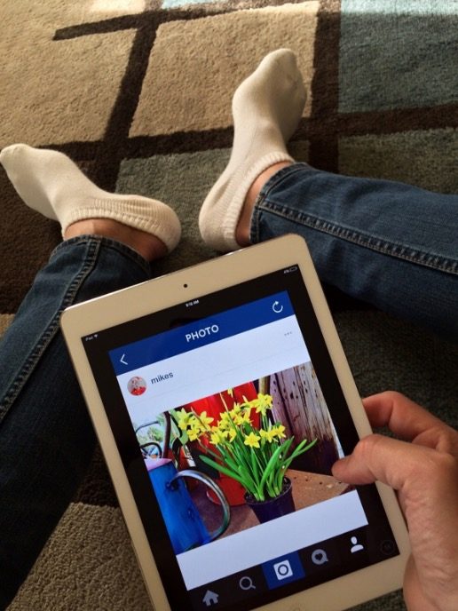 person looking at yellow flowers on ipad person looking at yellow flowers on ipad