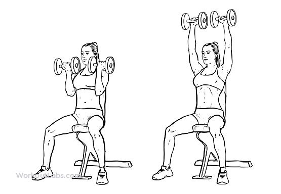 scetch of woman doing Arnold press